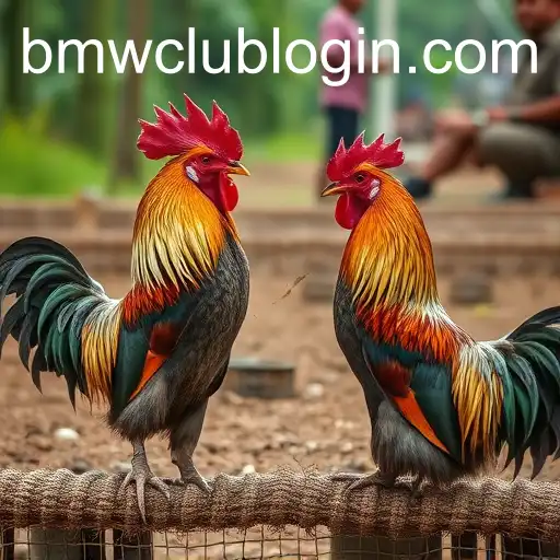 The Intricate World of Sabong Games with BMW CLUB